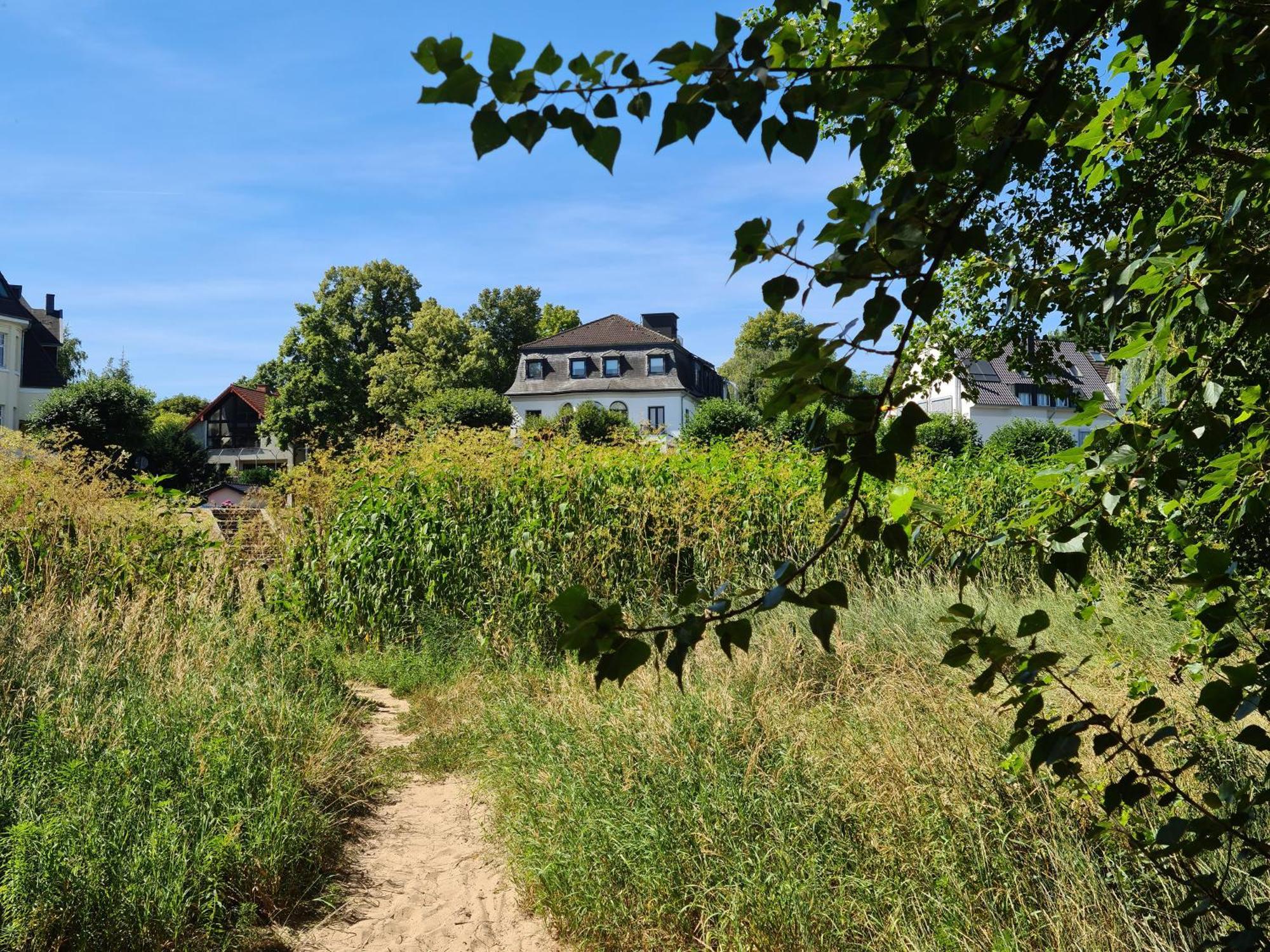 Villahotel Rheinblick Köln Eksteriør bilde